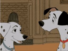 Dalmations-dog