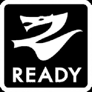 Gish k800 (1) 125775568263