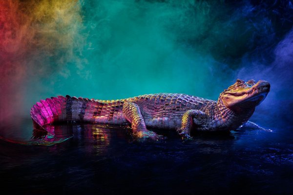 10-25-16-26-28