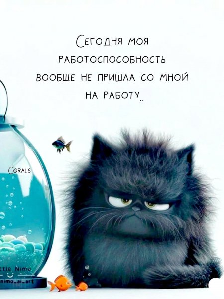 FB IMG 1778093217414