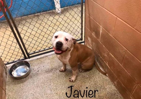 KFERTUJKNBCXFHN1BZR0