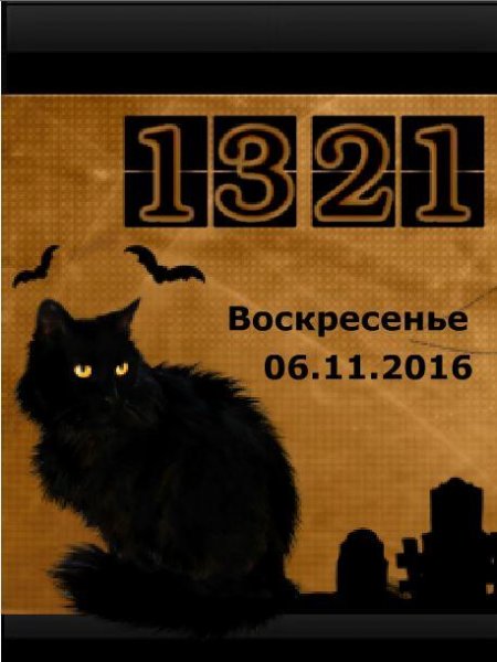Black meow(19-10)