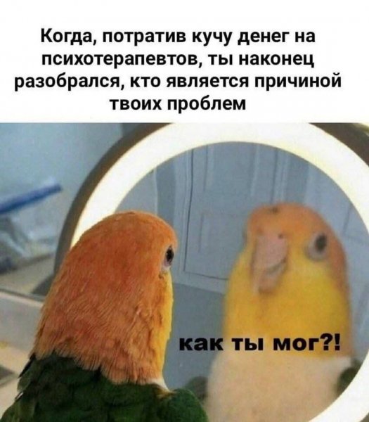 FB IMG 1777725139689