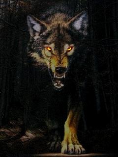 Wolf anim FL1.1