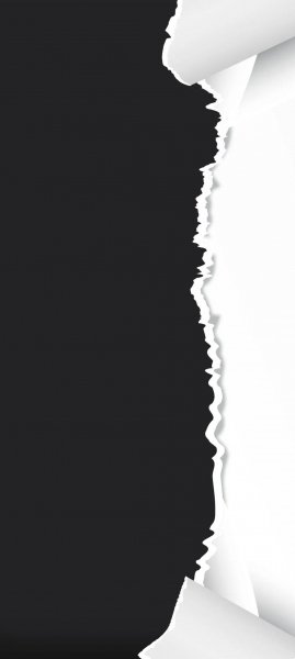 adapted 1080x2408 1771989704