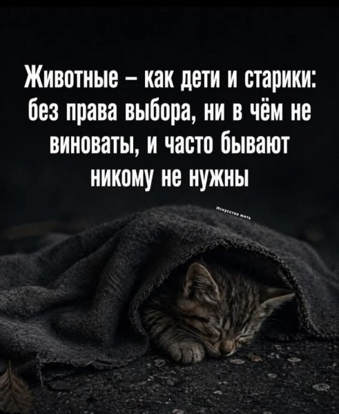 IMG 20260427 072633