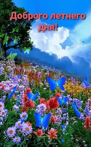 Анимированная открытка доброго летнего (1)