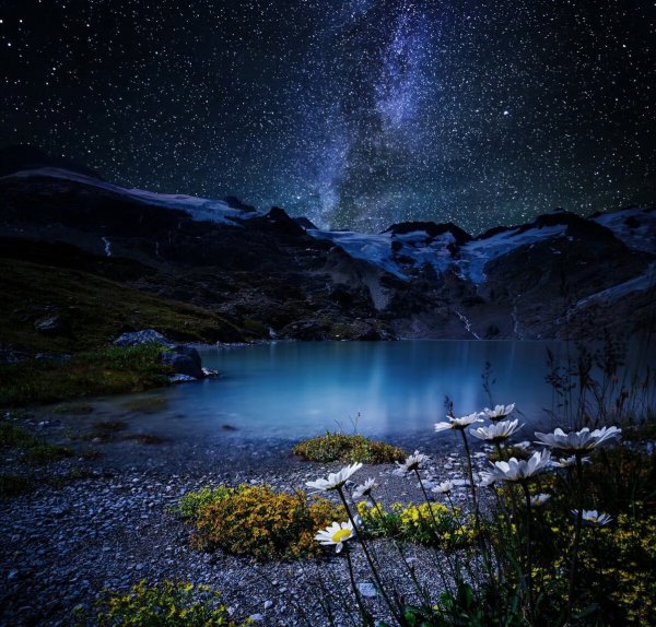 file_99337332