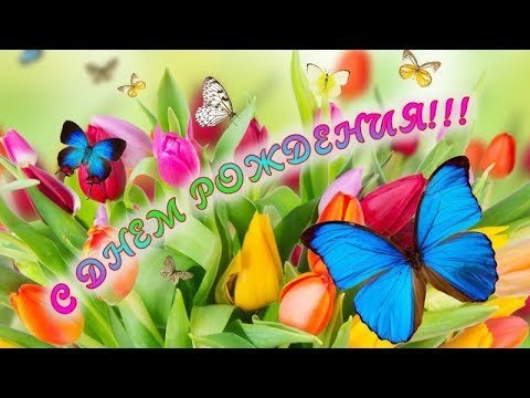 file_81279173