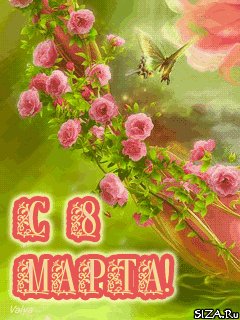 8 marta tcveti