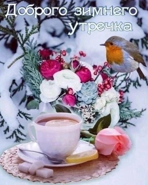 IMG 20221209 192819