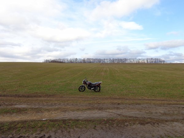 MOTORCYCLE MUSSTANG MT -150 6
