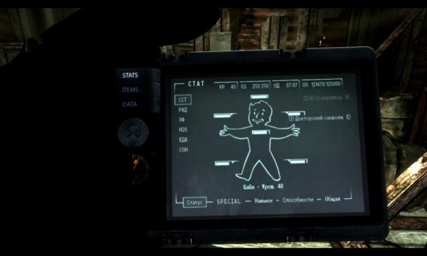 pip boy readius v1 1