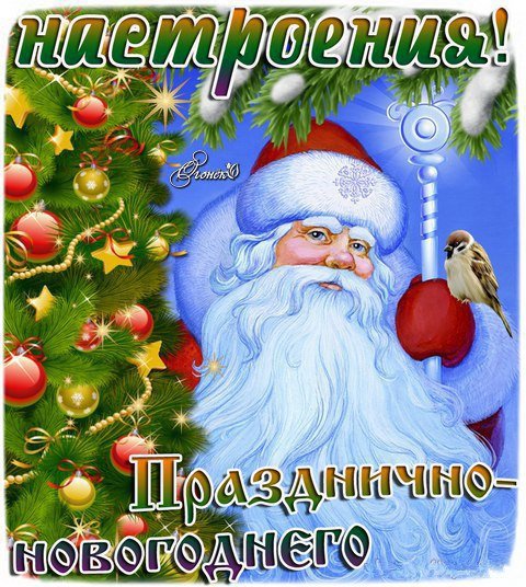 IMG 20190101 631008