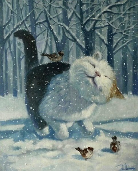 Зимние коты (9)