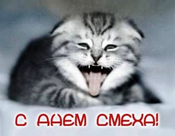 С днем смеха