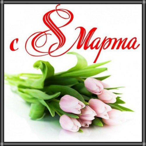 IMG 20150307 105701