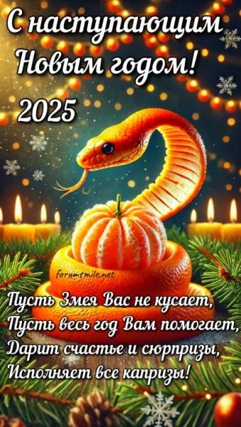 С наступающим Новым Годом