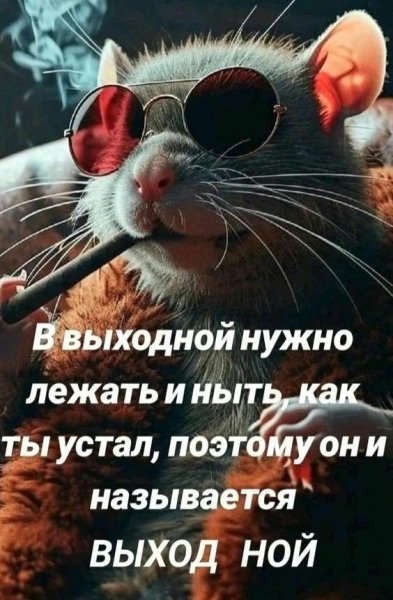 file_103052161