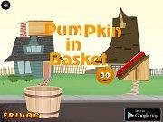 Pumpkin in basket