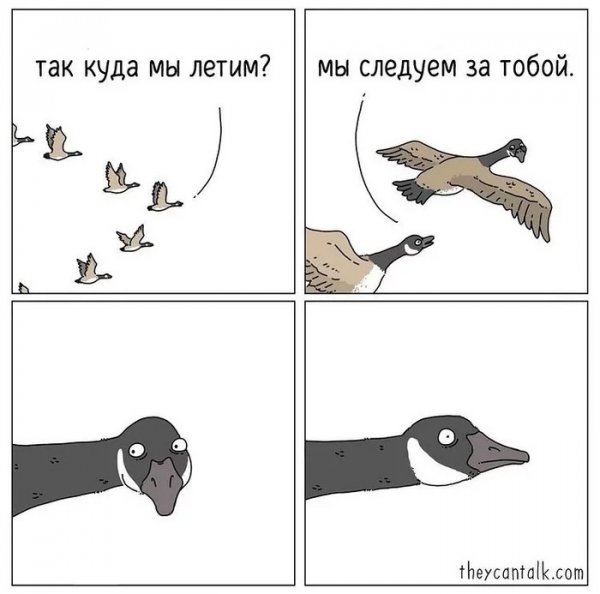 file_92945489