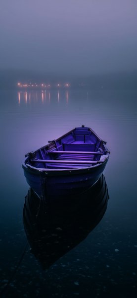file_101301613