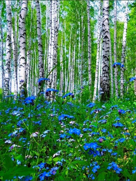 file_96618390