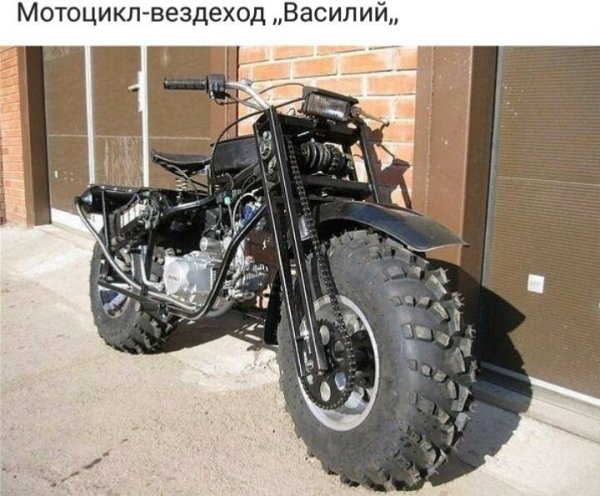 image (6)