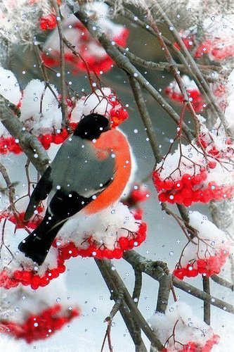 file_76379183