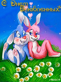 file_13306826
