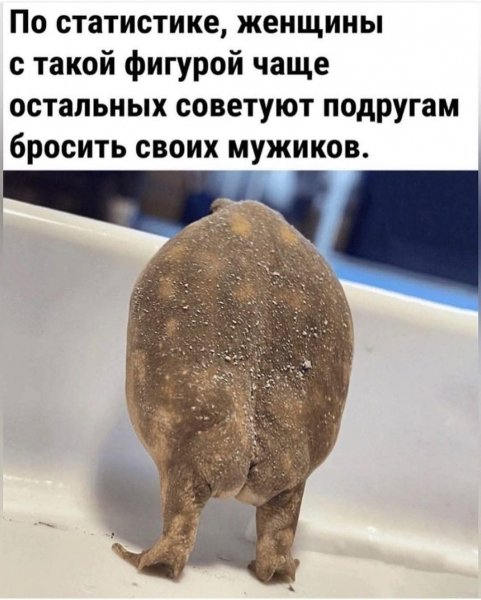 FB IMG 1776099038349