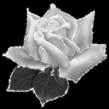 3d5a132ee5c5