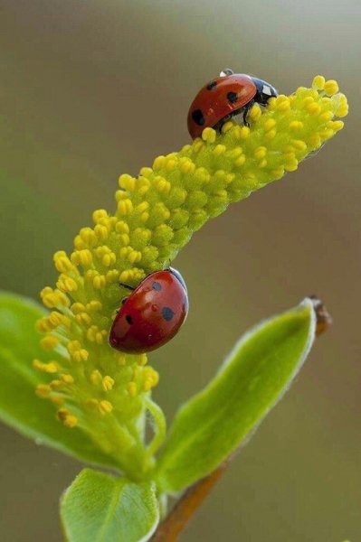 file_89553790
