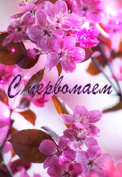 С Первомаем
