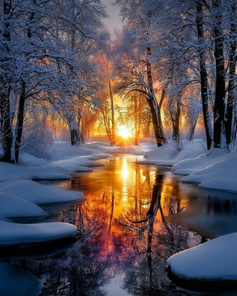 B992b0203ccc4c9929774ce44aa39537