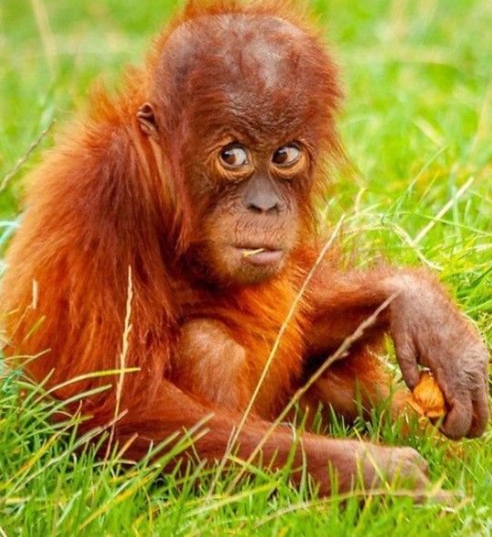 5c95a14514b4b8b0920c06e044b208ec