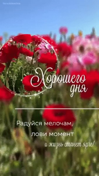 IMG 20230628 234728