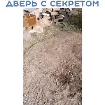 IMG 20230208 070351