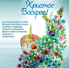 скачанные файлы (11)