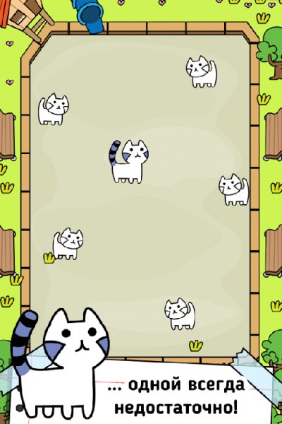 Cat Evolution - Clicker Game v.1.0.1