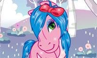 Horse Hair Studio