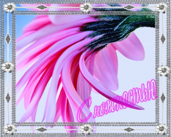 С нежностью