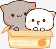 Peach-cats-in-a-box