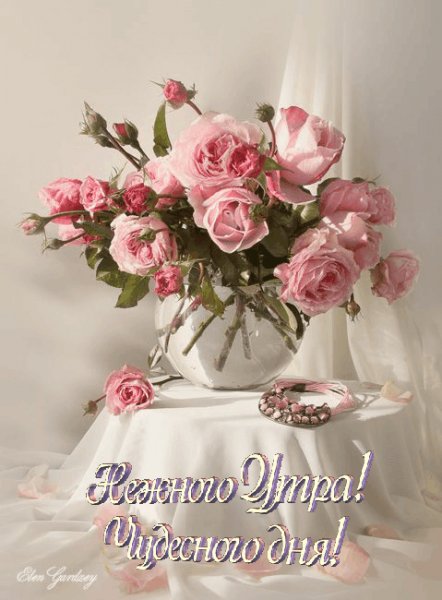 Нежного утра