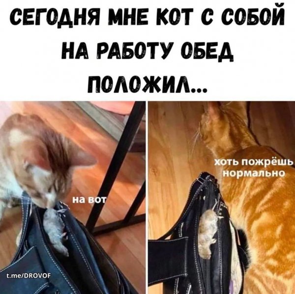 IMG 20260810 155212 362
