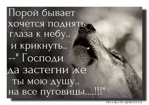 Порой бывает