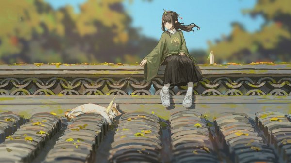 @aniwall66 3411 (12)