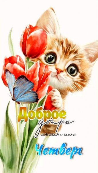 IMG 20260430 170928