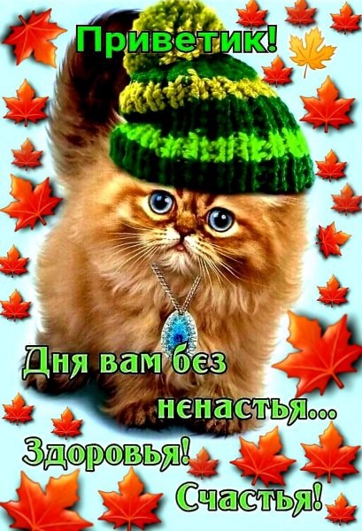 file_88572359
