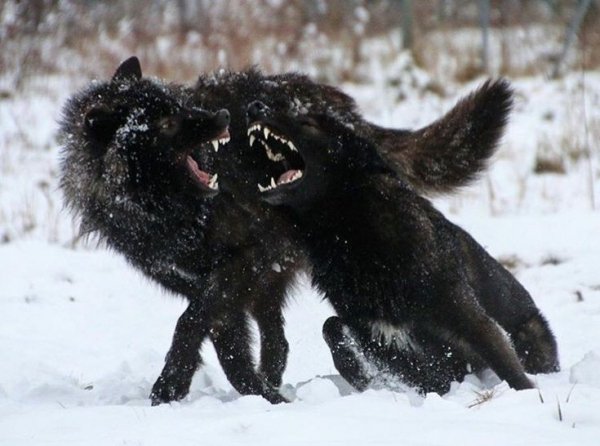 dc10696d50bb8e8f7b8e888983a1